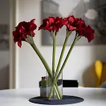 Cozy & Nostalgic Style In The Center 아파트 부다페스트