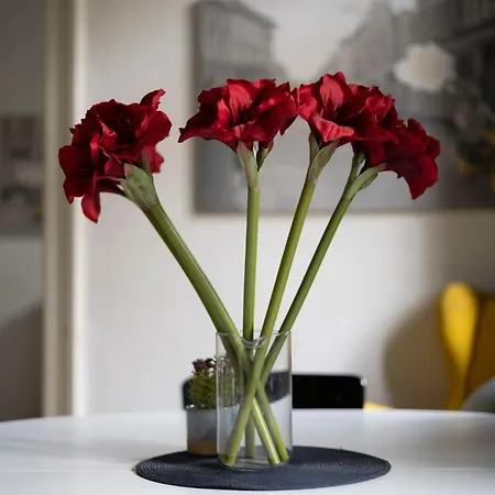 Cozy & Nostalgic Style In The Center דירה בודפשט